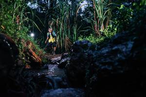 BIB: 
                            <button type="button" onclick="openModal(26206331)" class="btn btn-primary btn-sm float-right btn-popup" data-toggle="modal" data-target=".modal-high-quality">
                        <i class="fas fa-shopping-cart"></i> Add to Cart
                    </button>
                                            <button type="button" onclick="isThisMe(26206331, true)" class="btn btn-success btn-sm float-right btn-popup btn-isme hidden" data-toggle="tooltip" data-placement="bottom" title="นี่คือรูปของคุณใช่ไหม คลิกที่นี่เพื่อเอาเข้าอัลบั้ม">
                        <i class="fas fa-plus"></i> Add to album
                    </button>
                    <button type="button" onclick="isThisMe(26206331, false)" class="btn btn-warning btn-sm float-right btn-popup btn-isnotme hidden">
                        <i class="fas fa-ban"></i> Remove from album
                    </button>